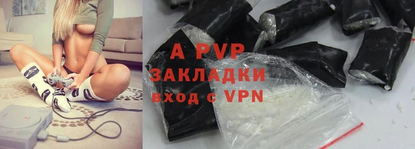 индика Баксан