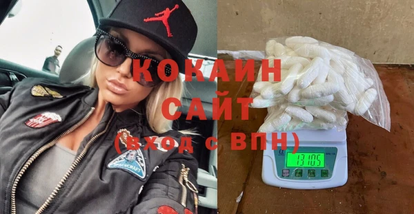индика Баксан