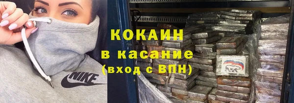 индика Баксан