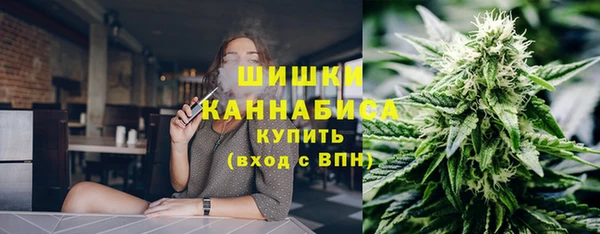 индика Баксан