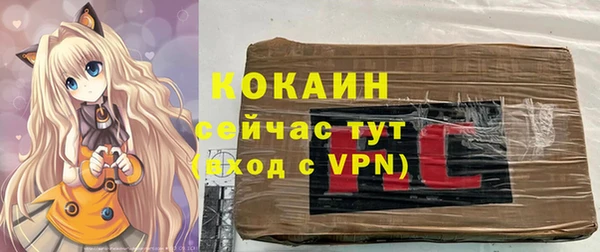 индика Баксан