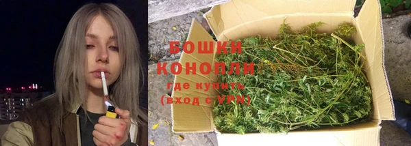 сатива Балабаново